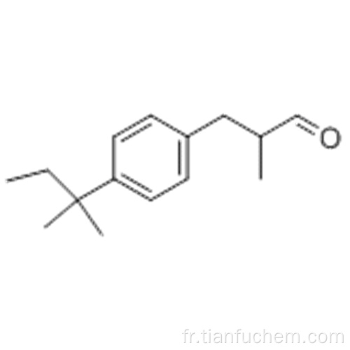 2-méthyl-3- [4- (2-méthylbutan-2-yl) phényl] propanal CAS 67467-96-3